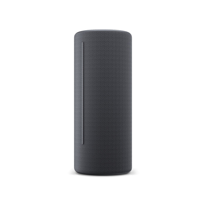 Altavoz Bluetooth Loewe Gris