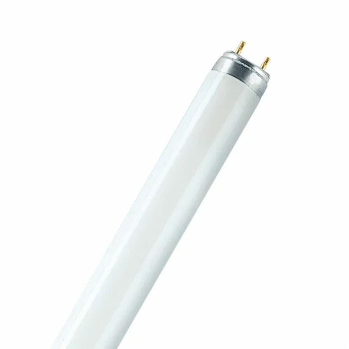 Tubo fluorescente Osram 18 W T8 1300 lm (6500 K)
