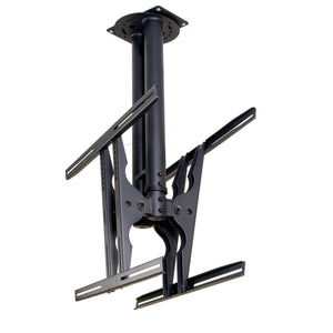 V4H56C0092840F3127C21F73C7F2234E062R5677939P1