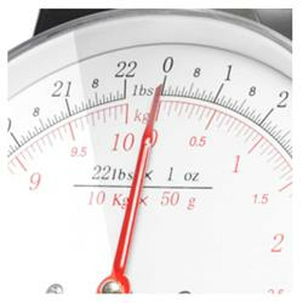 V4HBFE73F98D919D626AE8FF6C0699E56F5R5269163P1