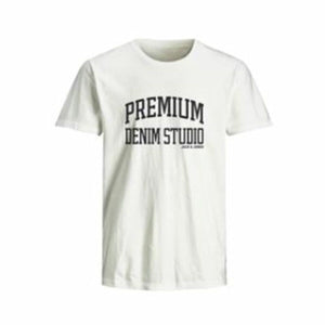 V4H8097B51A4E06BA42B786A620B4888B01R6081643P1