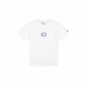 V7H2D08F45AF3ACEFC2A87749FB8F0A83C0R6603236P1