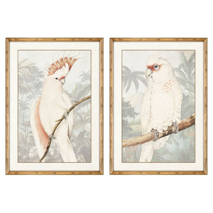 Painting DKD Home Decor Parrot Tropical 50 x 3 x 70 cm (2 Units)