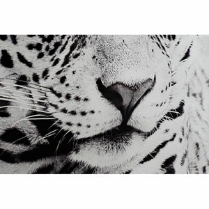 V10H487BF519285E1B47E3652DE489BBAB7DR6371992P3