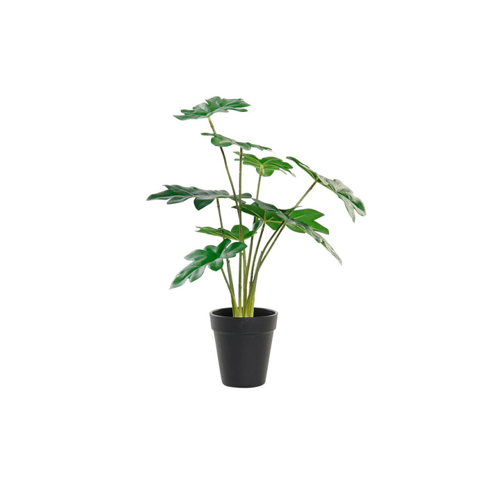 Pianta Decorativa DKD Home Decor Verde PE (20 x 20 x 40 cm)
