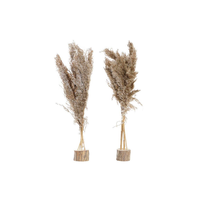 Planta Decorativa DKD Home Decor Plumas PVC Fibra (35 x 25 x 55 cm) (2 Unidades)