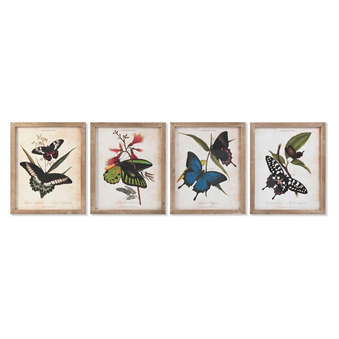Cuadro DKD Home Decor Mariposas 40 x 2 x 50 cm Shabby Chic (4 Piezas)
