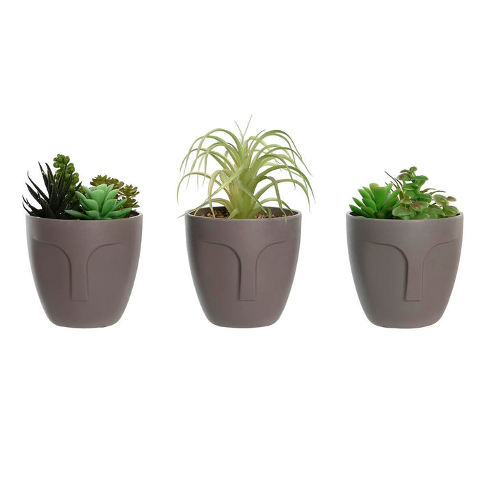 Decorative Plant DKD Home Decor Grey Beige Polyethylene Green polypropylene (11 x 11 x 15 cm) (3 Units)