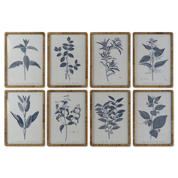 Painting DKD Home Decor Modern Botanical plants 50 x 2,5 x 70 cm (8 Units)