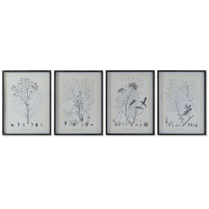 Quadro DKD Home Decor Moderno Piante botaniche 45 x 2,5 x 60 cm (4 Unità)