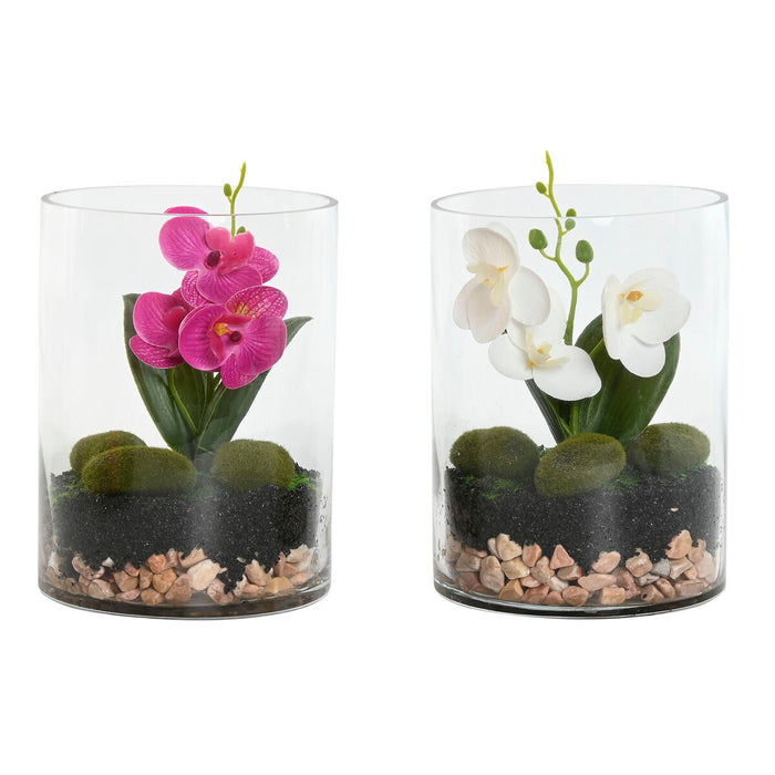 Plante décorative Home ESPRIT PVC Verre 15 x 15 x 20 cm (2 Unités)
