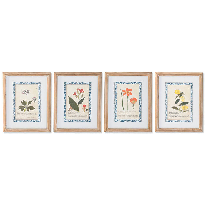 Cuadro Home ESPRIT Shabby Chic Plantas botánicas 40 x 2,5 x 50 cm (4 Unidades)