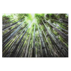 V5HE3A1B56DB1336861D394C81D714474F7R6373237P1