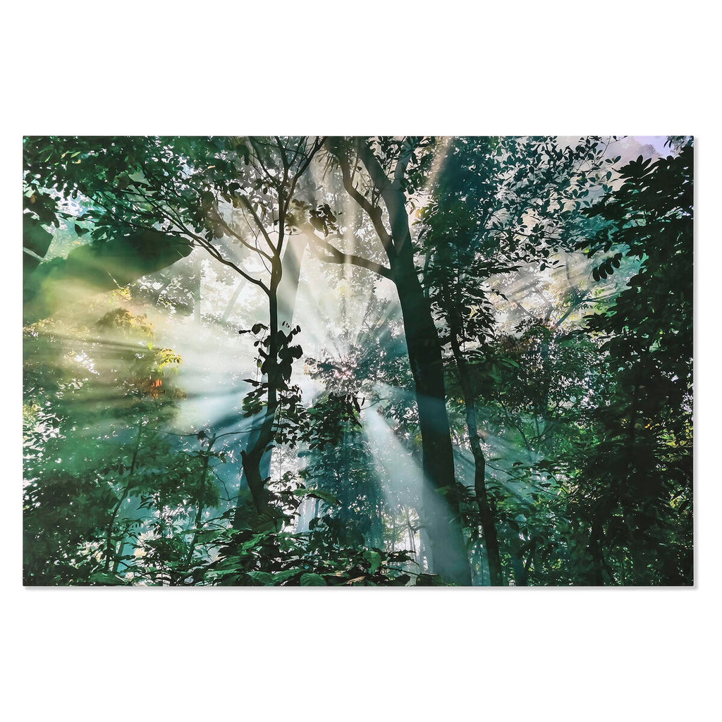 V1H31EE220982FA2D717205D8F3E609EC26RP1