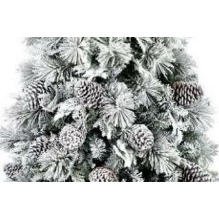 Árbol de Navidad Home ESPRIT Blanco PVC Nevado