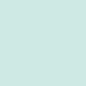 V5HF290B207C00E68BEF823FFA8AEAB40C0R4594181P3