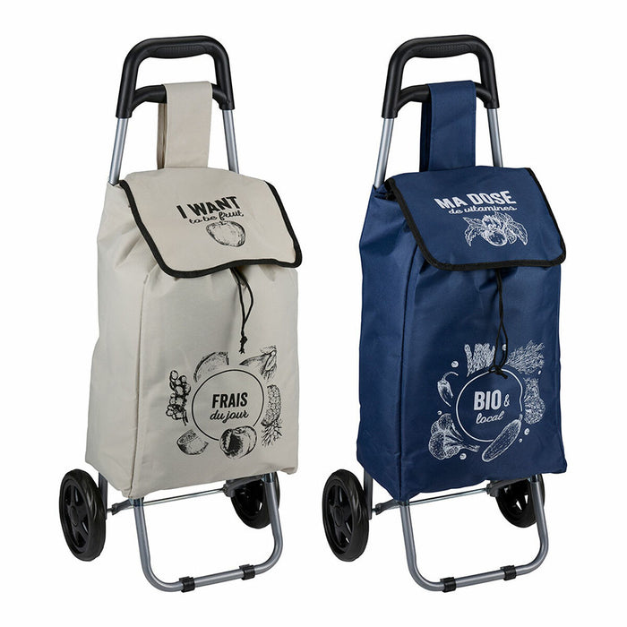 Carro de Compra 25 L 91 X 34 X 26 CM