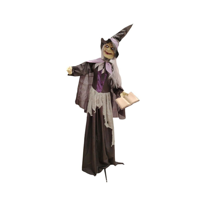 Décoration d'Halloween Sorcière 183 x 120 x 17 cm